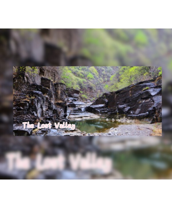 The Lost Valley 2021 Steam Key GLOBAL